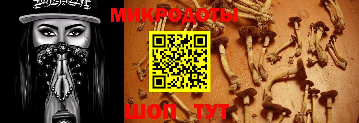 Псилоцибиновые грибы Cubensis  Псилоцибиновые грибы прущие грибы  Орехово-Зуево  купить   Вход с VPN 